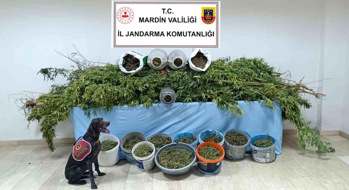 Mardin'de Uyuşturucu Operasyonunda 7 Şüpheli Tutuklandı