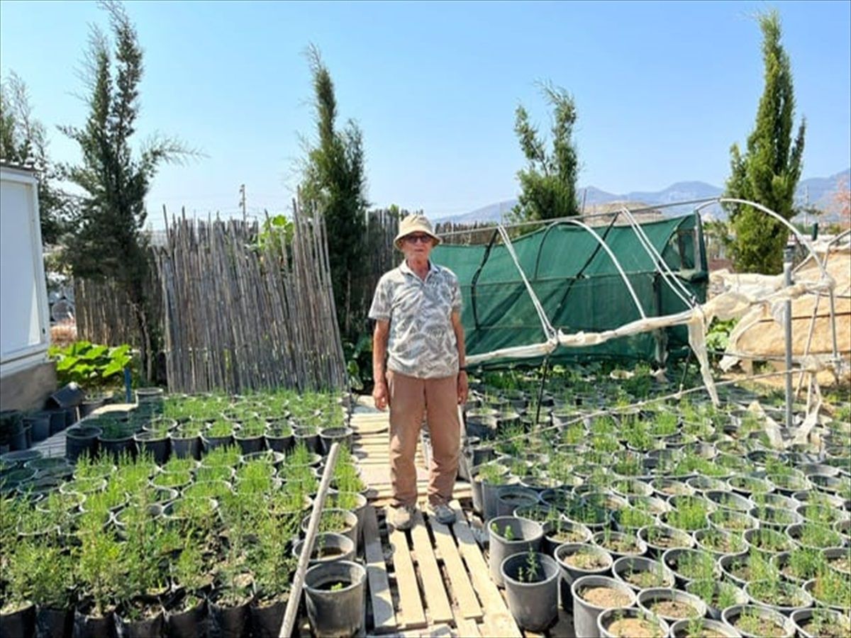 Muğla'da 'Doğa Dede'nin bağışladığı fidanlar toprakla buluşuyor