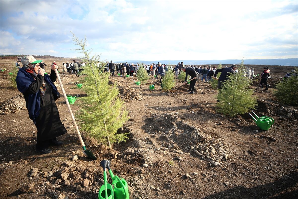 Çanakkale'de 54 bin 750 fidan toprakla buluşturuldu