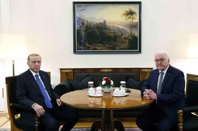 Cumhurbaşkanı Erdoğan, Almanya Cumhurbaşkanı Steinmeier'le görüşmesi başladı