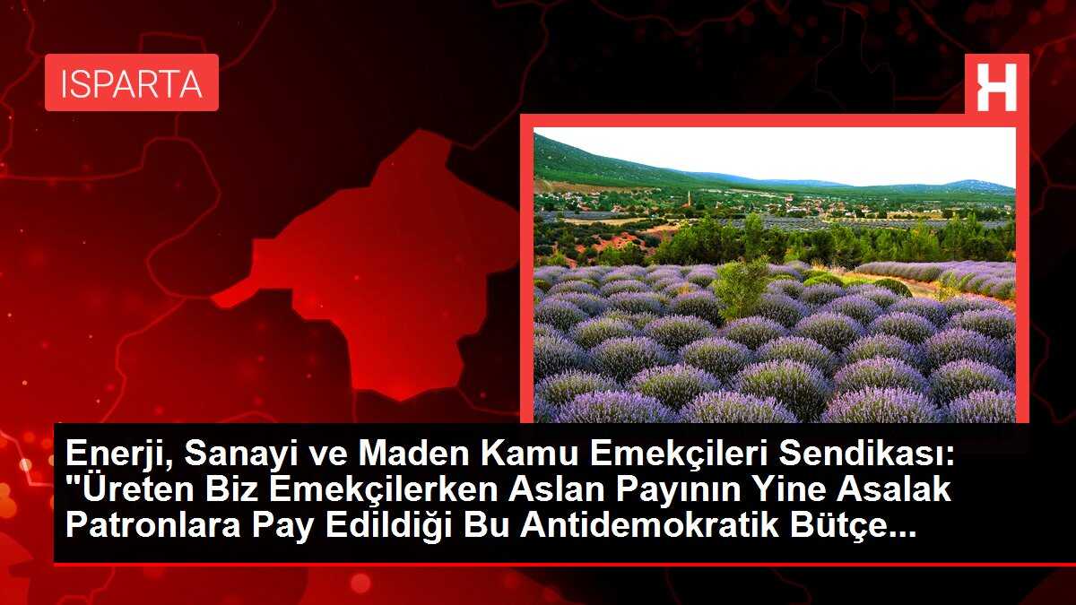 Enerji, Sanayi ve Maden Kamu Emekçileri Sendikası: 'Üreten Biz Emekçilerken Aslan Payının Yine Asalak Patronlara Pay Edildiği Bu Antidemokratik Bütçe...