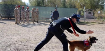 Katarlı Askerlere Eğitimli Köpekler Sergilendi