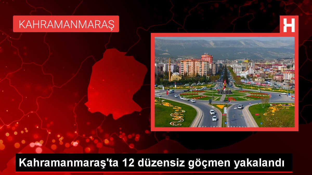 Kahramanmaraş'ta 12 düzensiz göçmen yakalandı