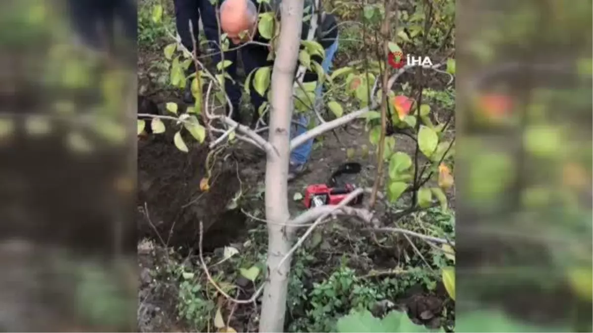 İnegöl'de mahsur kalan kuzu itfaiye ekipleri tarafından kurtarıldı