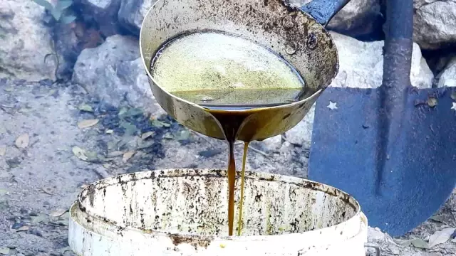 Binbir zahmetle üretilen defne yağının litresi 200 liradan satılıyor Binbir zahmetle üretilen defne yağının litresi 200 liradan satılıyor