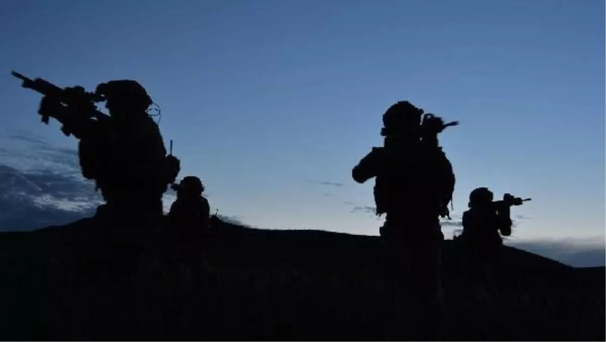Irak'ın kuzeyindeki barınma kampından kaçan 2 PKK'lı terörist, Hudut Karakolumuza teslim oldu
