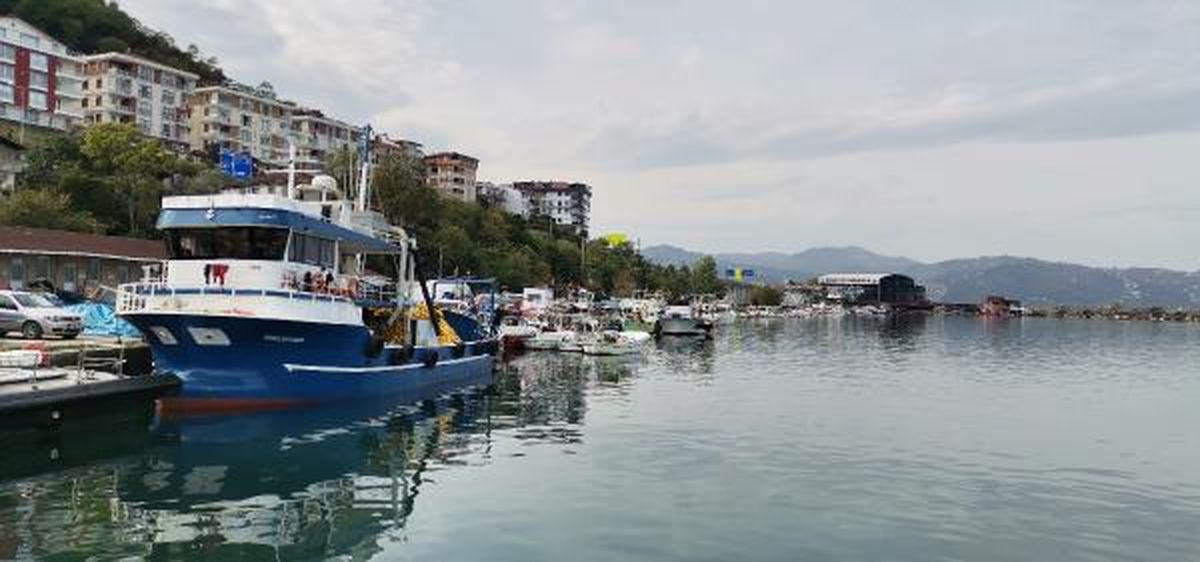 Karadeniz'de Balık Stoklarında Çöküş Yaşanıyor