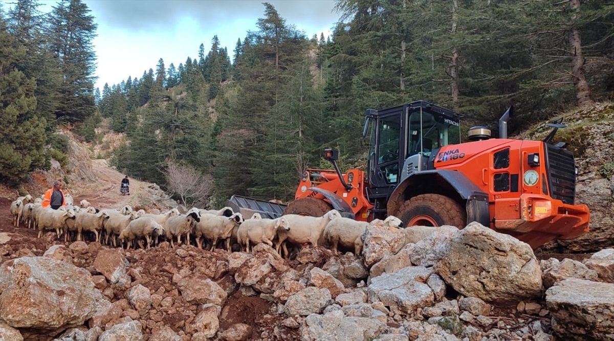 Feke'de mahsur kalan çobanlar ve hayvanları kurtarıldı
