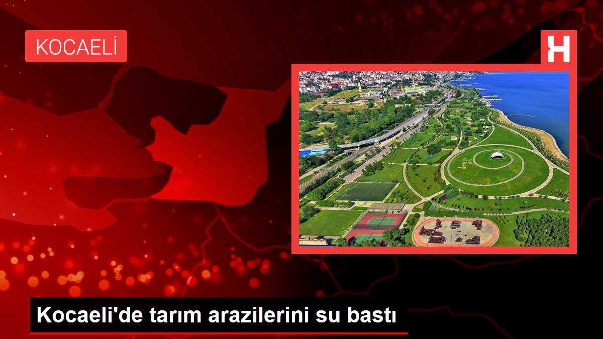 Kocaeli'de tarım arazilerini su bastı