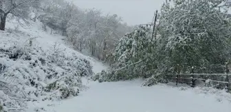 Sakarya'da yaylada mahsur kalan 16 kişi kurtarıldı