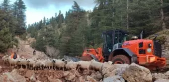 Feke'de sağanak nedeniyle mahsur kalan çobanlar ve hayvanlar kurtarıldı