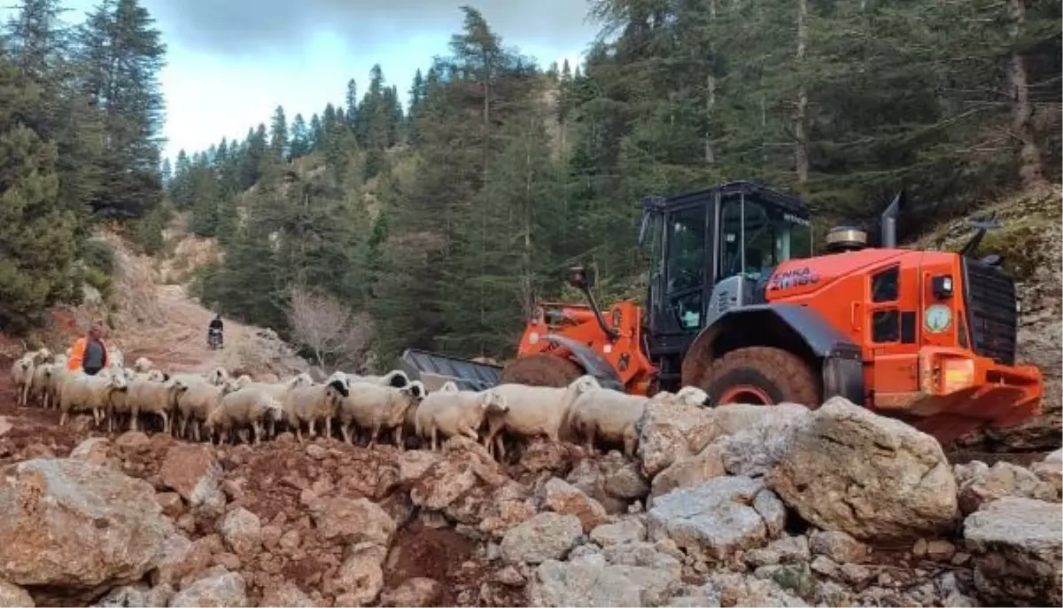 Feke'de sağanak nedeniyle mahsur kalan çobanlar ve hayvanlar kurtarıldı