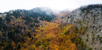 Amanos Dağları'ndaki Çardak Yaylası'nda Sonbahar Renkleri Dronla Görüntülendi