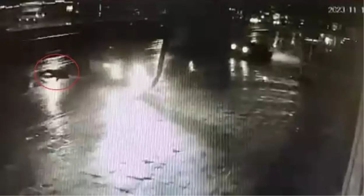 Bursa'da Aydınlatma Direğine Çarpan Otomobil Kazası