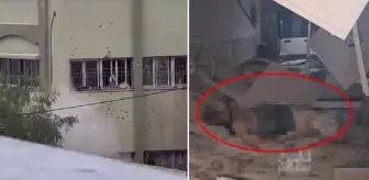 Endonezya Hastanesi'ni kuşatan İsrail ordusu, dışarı kaçanları vurmaya başladı! Çok sayıda can kaybı var