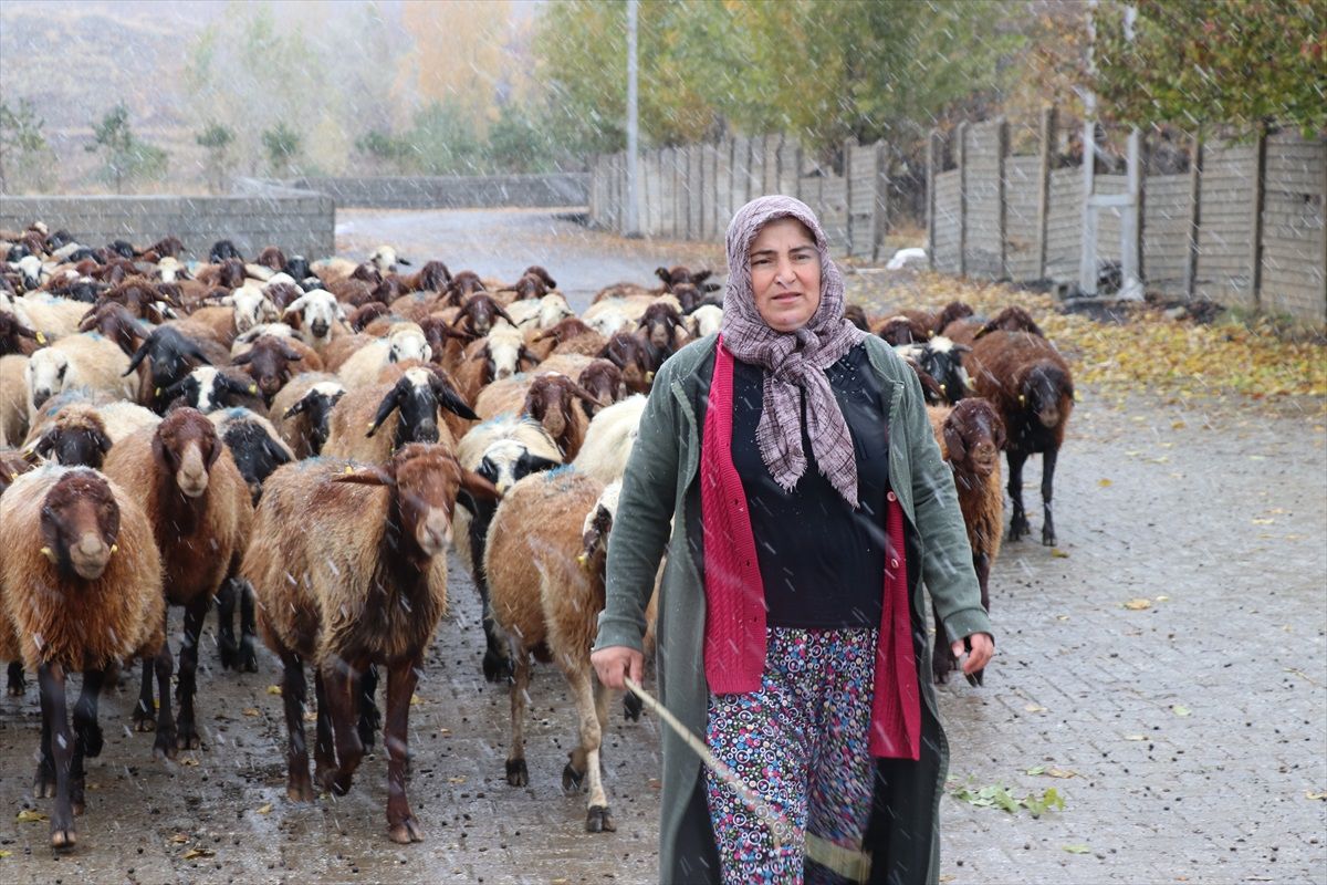 Erzincan'da Tarım ve Orman Bakanlığı Destekli Çiftçilik