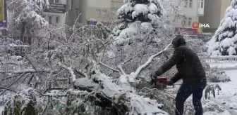 Erzurum'da Yoğun Kar Yağışı Hayatı Felç Etti