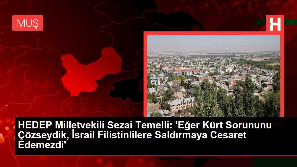 HEDEP Milletvekili Sezai Temelli: 'Eğer Kürt Sorununu Çözseydik, İsrail Filistinlilere Saldırmaya Cesaret Edemezdi'