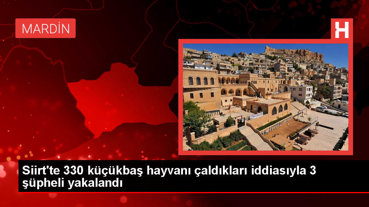 Siirt'te 330 küçükbaş hayvanın çalınmasıyla ilgili 3 şüpheli gözaltına alındı