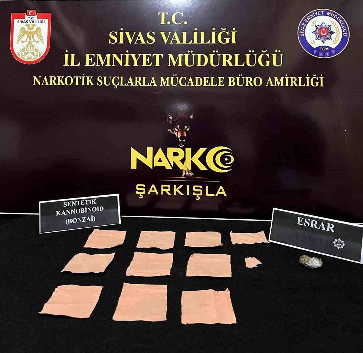 Sivas ve Şarkışla'da Uyuşturucu Operasyonu: Binlerce Kağıt Peçeteye Emdirilmiş Madde Ele Geçirildi