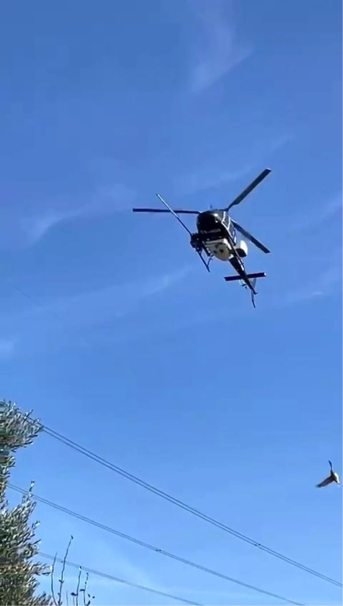 Bursa'da yüksek gerilim hatlarının bakımı helikopter ile yapıldı
