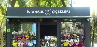 İstanbul'un 60 Noktasında İstanbul Çiçekleri