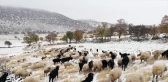 Kar Yağışı Yaylacıları Erken Dönüşe Zorladı