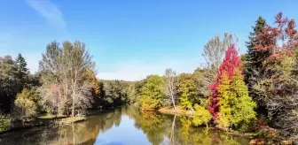 Sarıyer'deki Atatürk Arboretumu Sonbaharın Renkleriyle Ziyaretçilerini Ağırlıyor