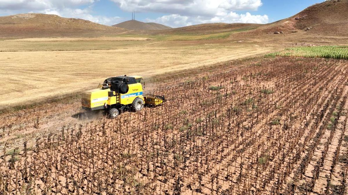 Tarımsal Girdi Fiyat Endeksi Yıllık Yüzde 40,97 Arttı