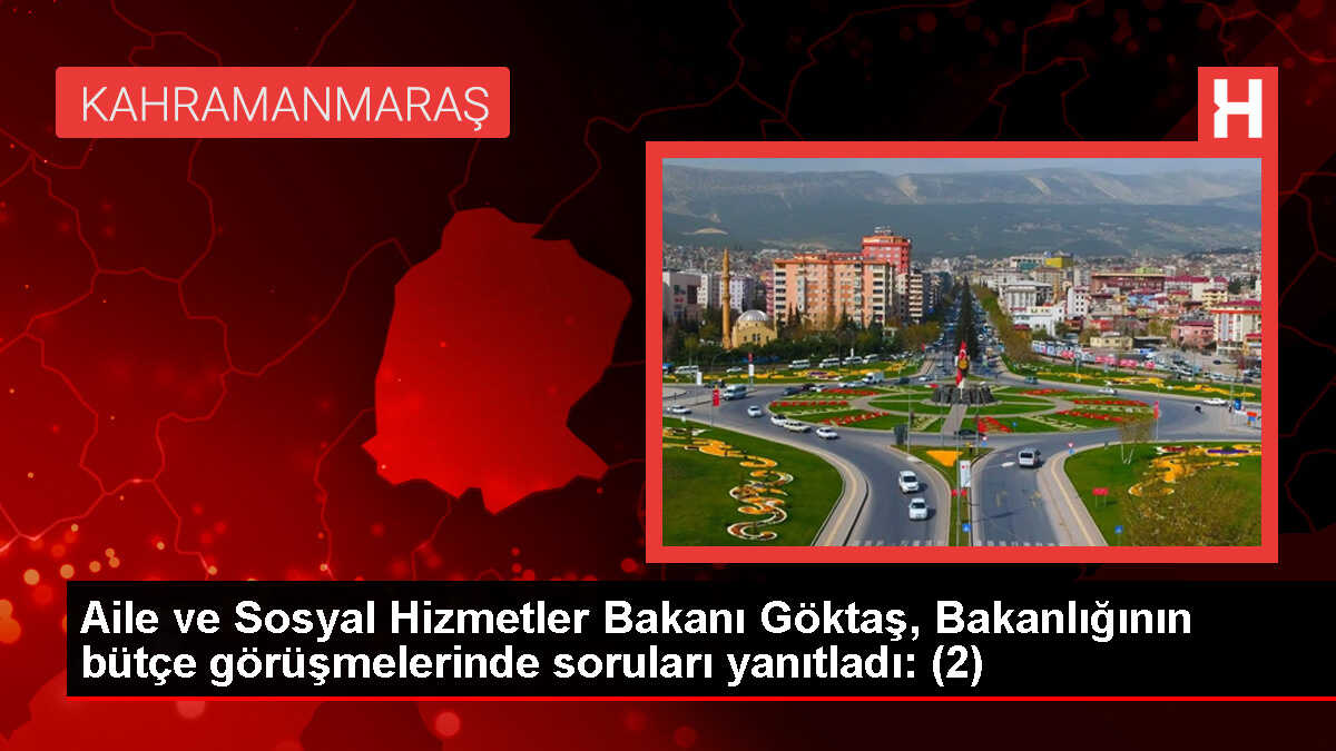 Aile ve Sosyal Hizmetler Bakanı Göktaş, Bakanlığının bütçe görüşmelerinde soruları yanıtladı: (2)