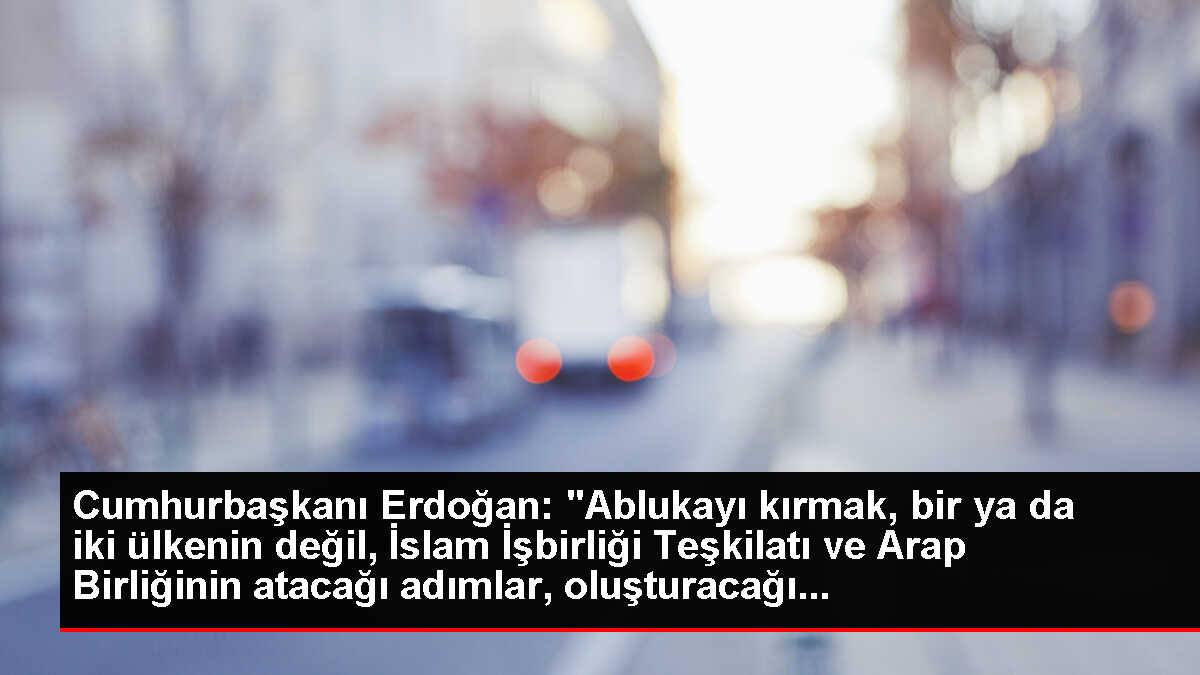 Cumhurbaşkanı Erdoğan, Cezayir dönüşü uçakta gazetecilerin sorularını yanıtladı: (2)
