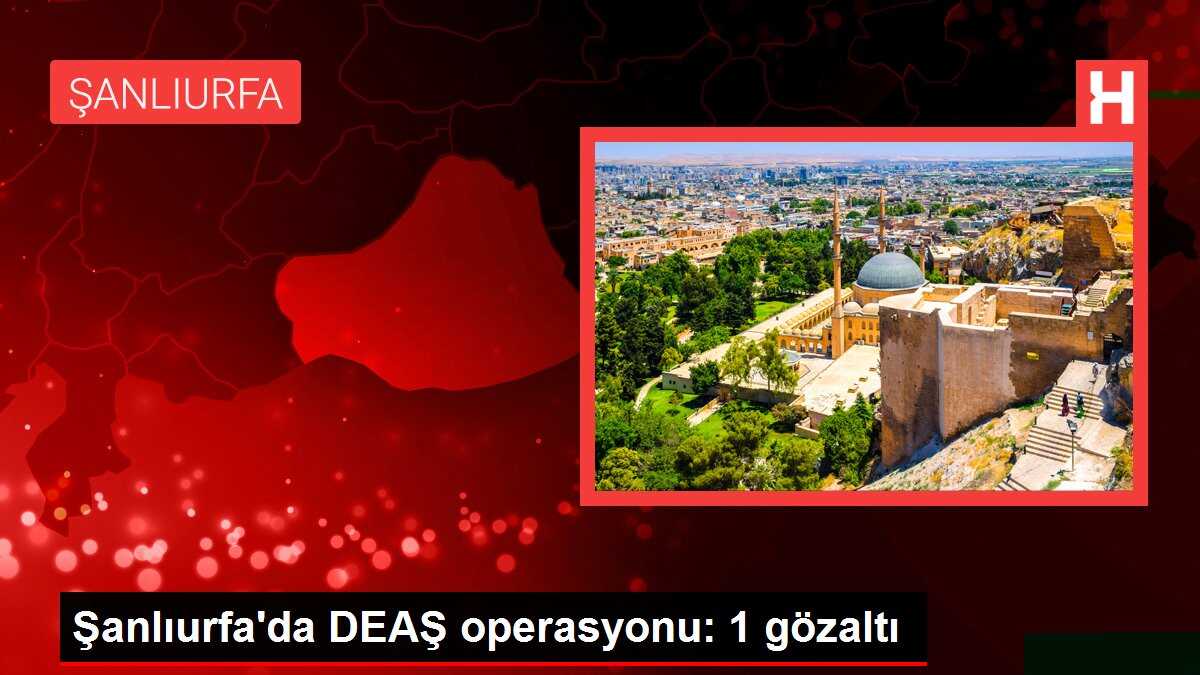 Şanlıurfa'da DEAŞ operasyonu: 1 gözaltı