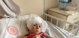 Sivas'ta sahipsiz köpeğin saldırısında çocuk yaralandı