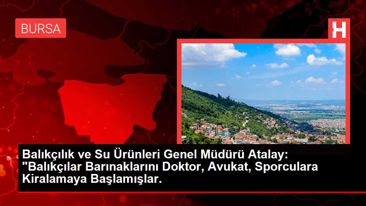 Balıkçılık ve Su Ürünleri Genel Müdürü Atalay: 'Balıkçılar Barınaklarını Doktor, Avukat, Sporculara Kiralamaya Başlamışlar.