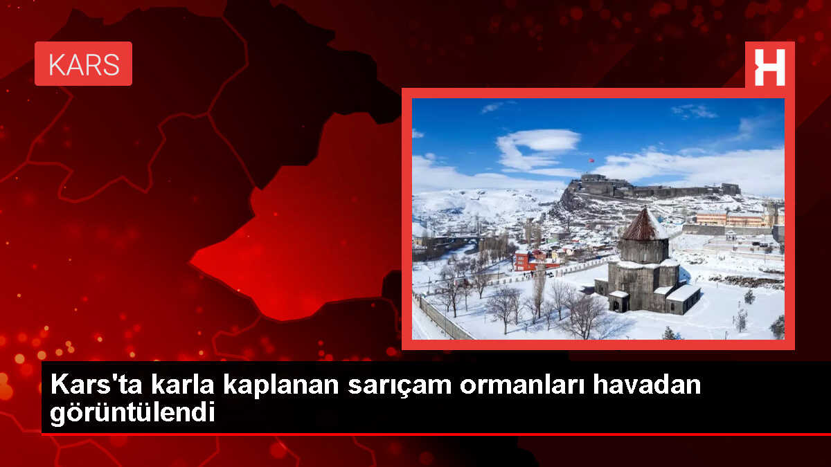 Kars'ın Sarıkamış ilçesinde karla kaplanan sarıçam ormanları dronla görüntülendi