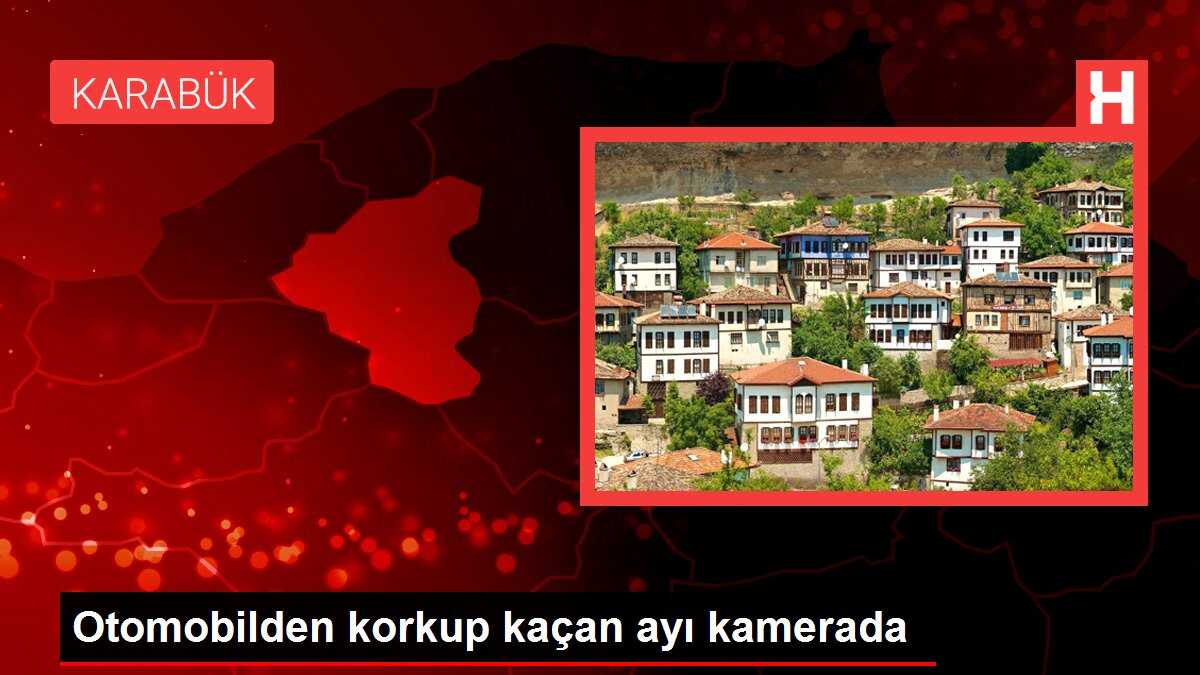 Otomobilden korkup kaçan ayı kamerada