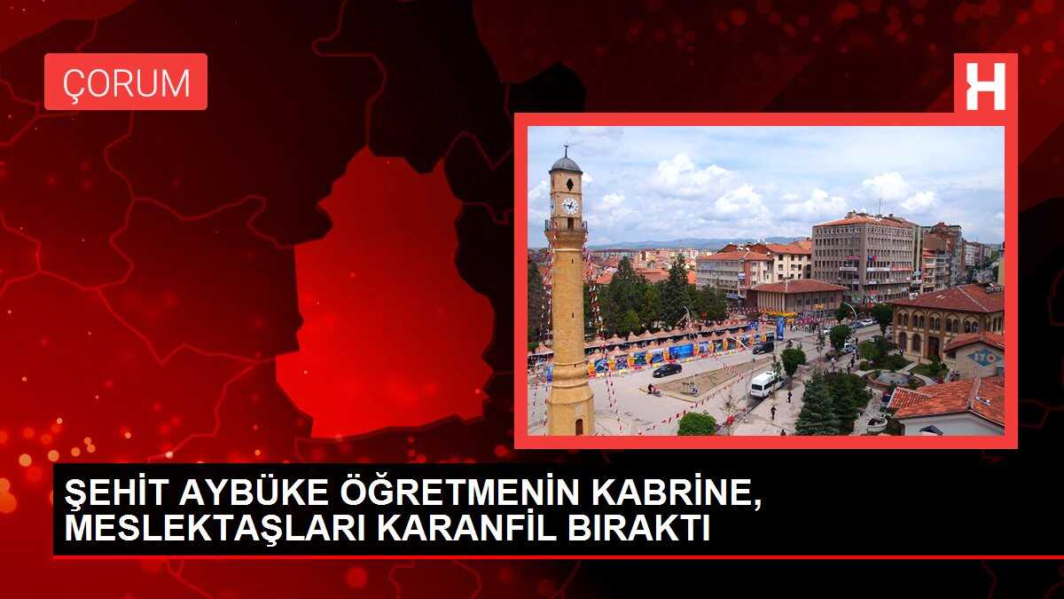 Şehit Aybüke Öğretmenin Kabrine, Meslektaşları Karanfil Bıraktı