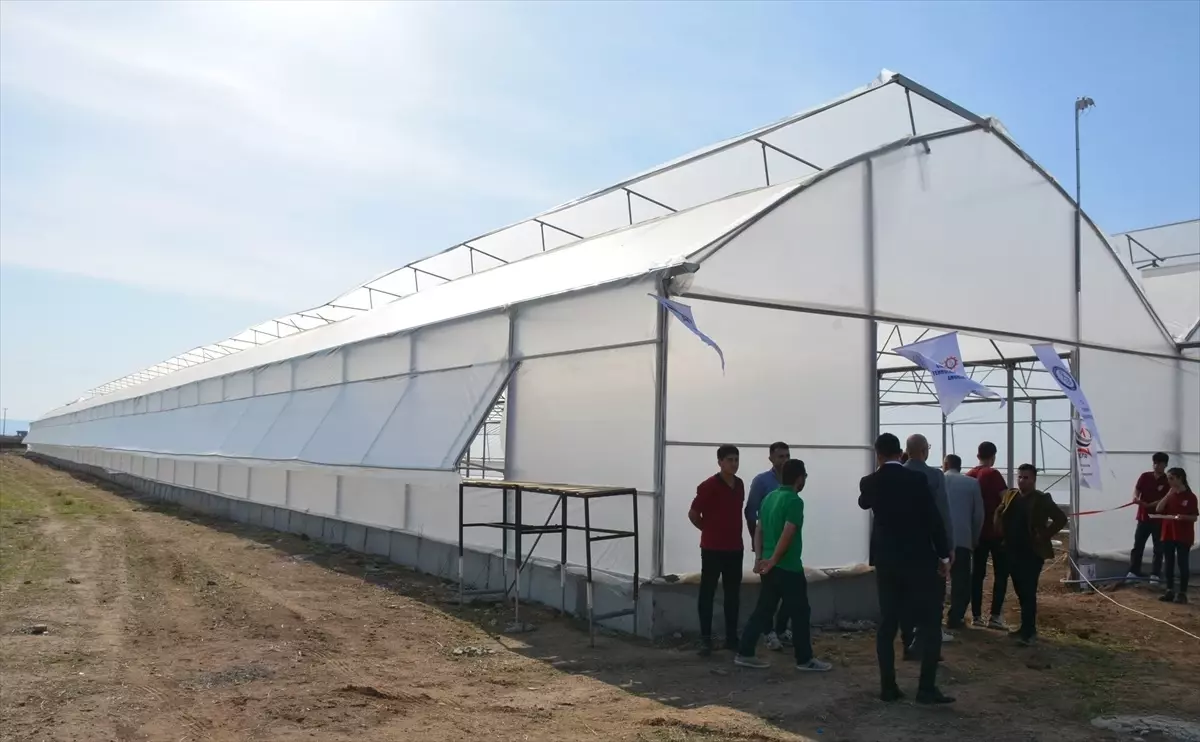 Şırnak'ta Mesleki ve Teknik Anadolu Lisesi'nde domates serası kuruldu