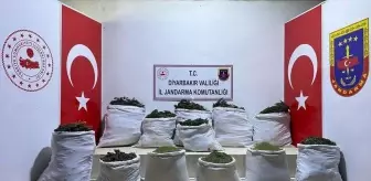 Diyarbakır'da 312 kilogram esrar ele geçirildi