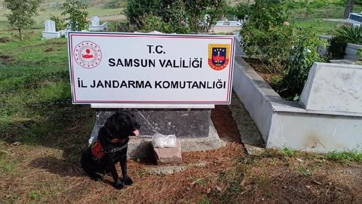 Samsun'da Uyuşturucu Ticareti Yapan Şahıs Tutuklandı