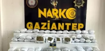 Gaziantep'te 41 Kilo Skunk ve 9 Gram Metamfetamin Ele Geçirildi