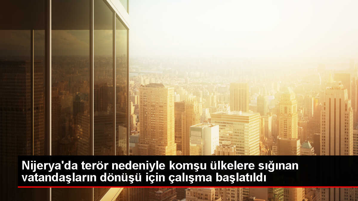 Nijerya Mültecileri Evlerine Dönüyor