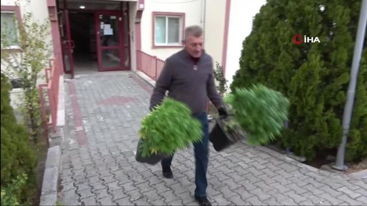 Özel düzeneklerle apartman dairesini esrar bahçesine çevirmişler