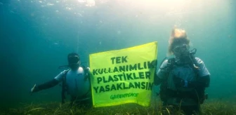Türkiye'de Tek Kullanımlık Plastiklere Karşı İmza Kampanyaları