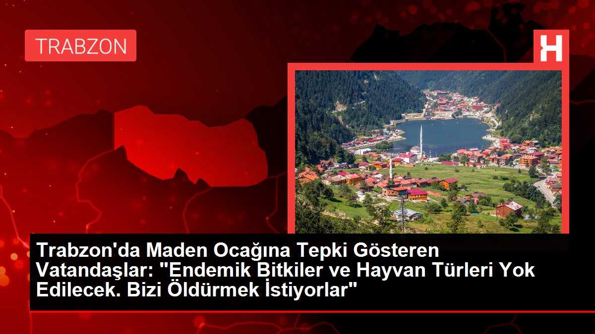 Trabzon'da Maden Ocağına Tepki Gösteren Vatandaşlar: 'Endemik Bitkiler ve Hayvan Türleri Yok Edilecek. Bizi Öldürmek İstiyorlar'