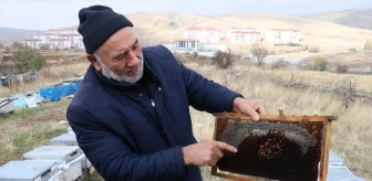 Yozgat Arı Yetiştiricileri Birliği Başkanı: Varroa hastalığına zamanında mücadele edilmeli