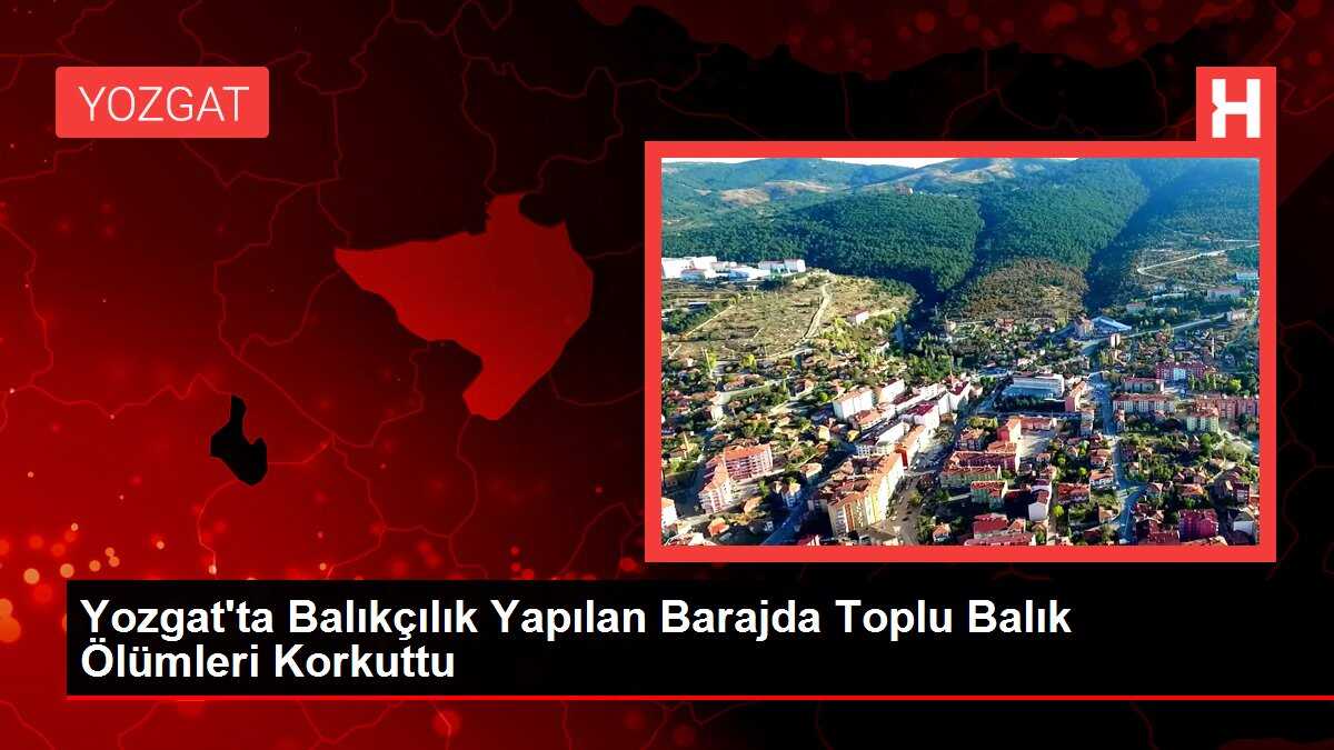 Yozgat'ta Balıkçılık Yapılan Barajda Toplu Balık Ölümleri Korkuttu