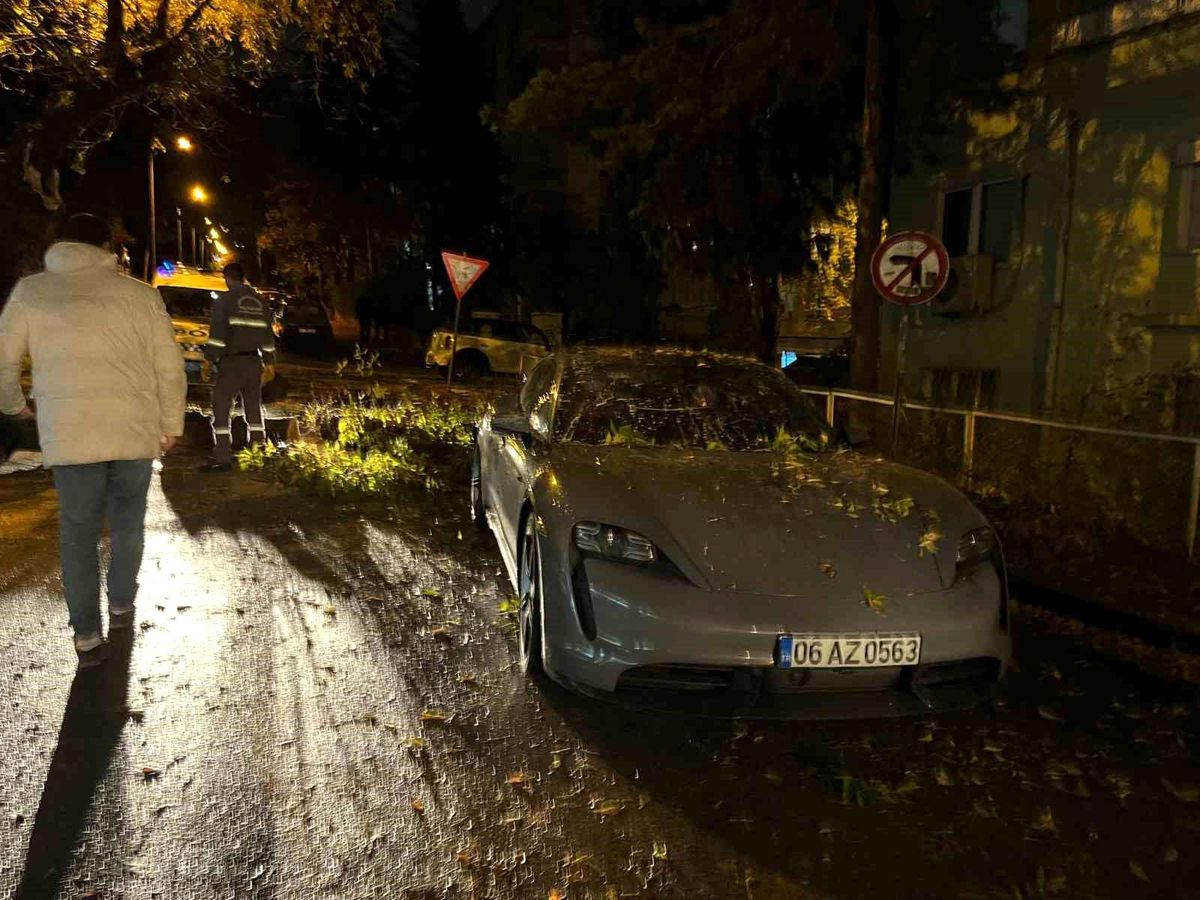 Şiddetli rüzgarda ağaç dalı lüks otomobilin üzerine düştü