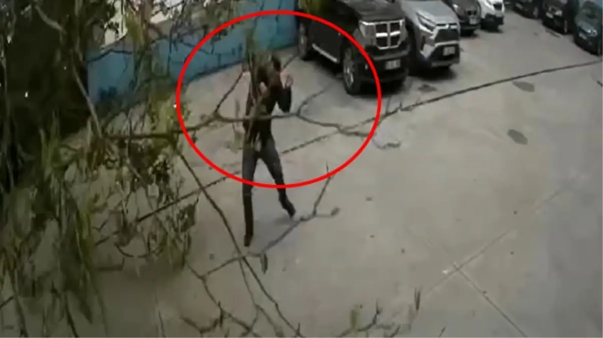 Fırtına nedeniyle devrilen ağacın altında kalmaktan son anda kurtuldu