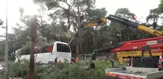 Manavgat'da hortum asırlık çam ağaçlarını yerle bir etti